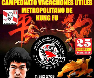 Campeonato de Kung Fu 25 de Febrero del 2018